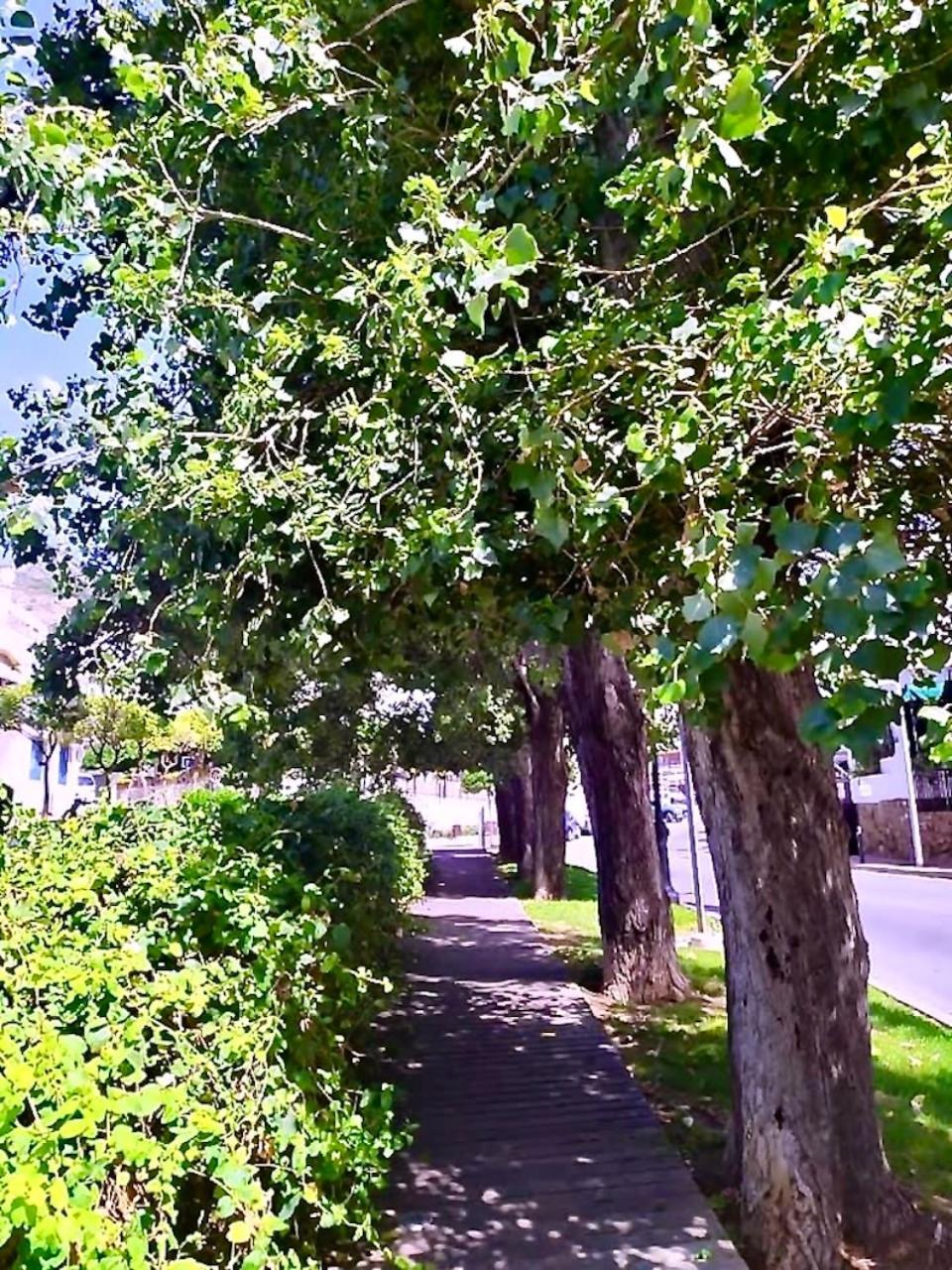 El Muro Benalmádena Zewnętrze zdjęcie